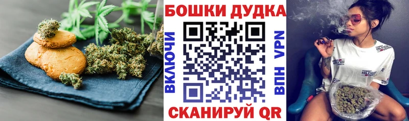 darknet наркотические препараты  Бердск  Canna-Cookies конопля 