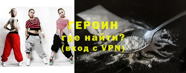 прущие грибы Лабытнанги