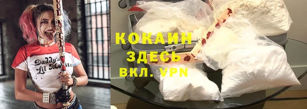 эйфоретик Кукмор