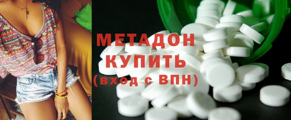 прущие грибы Лабытнанги