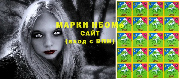 гашик Кулебаки