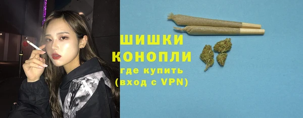 прущие грибы Лабытнанги