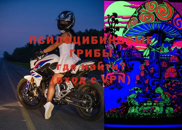 гашик Кулебаки