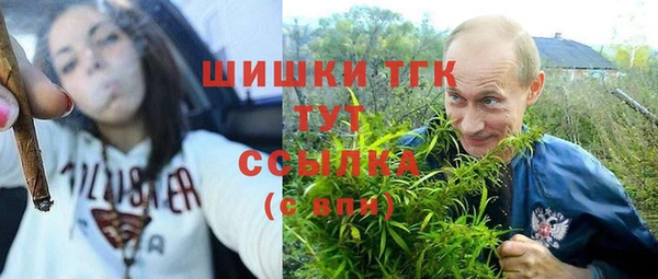 гашик Кулебаки