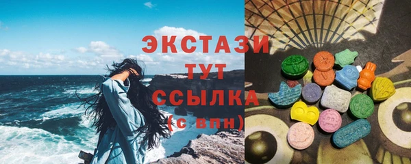 прущие грибы Лабытнанги