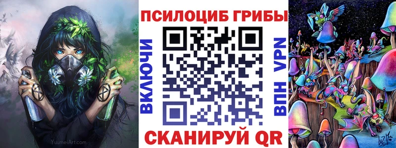 блэк спрут сайт  как найти наркотики  Бердск  Галлюциногенные грибы Cubensis 